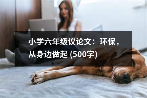 小學(xué)六年級(jí)議論文：環(huán)保，從身邊做起 (500字)