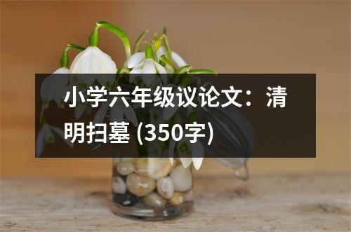 小學(xué)六年級(jí)議論文：清明掃墓 (350字)