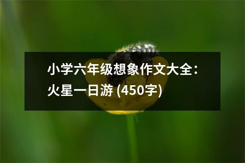 小學(xué)六年級(jí)想象作文大全：火星一日游 (450字)