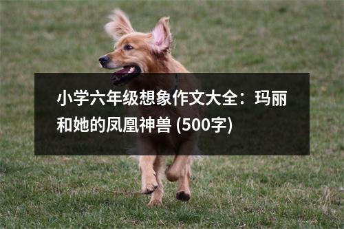 小學六年級想象作文大全：瑪麗和她的鳳凰神獸 (500字)