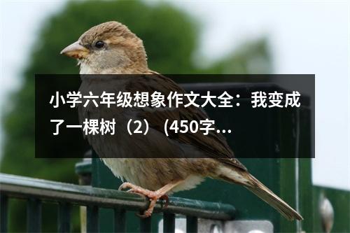 小學(xué)六年級想象作文大全：我變成了一棵樹（2） (450字)