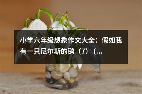 小學(xué)六年級想象作文大全：假如我有一只尼爾斯的鵝（7） (450字)