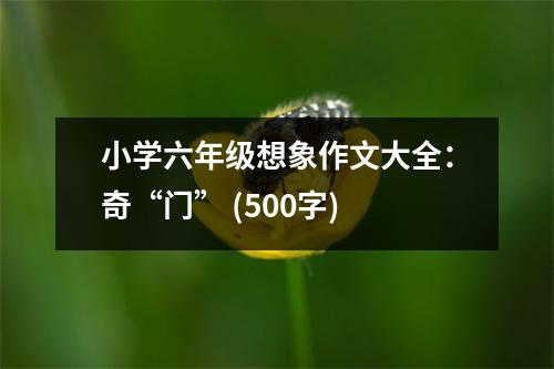 小學(xué)六年級(jí)想象作文大全：奇“門” (500字)