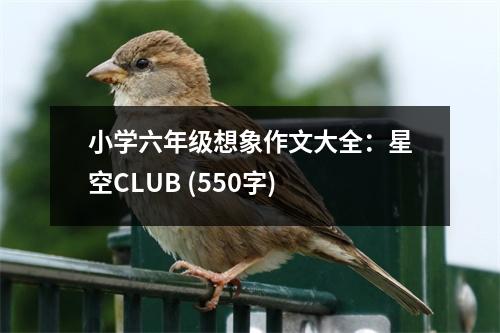 小學(xué)六年級(jí)想象作文大全：星空CLUB (550字)