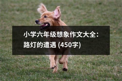 小學(xué)六年級想象作文大全：路燈的遭遇 (450字)