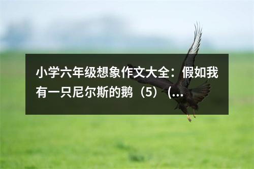 小學(xué)六年級想象作文大全：假如我有一只尼爾斯的鵝（5） (450字)