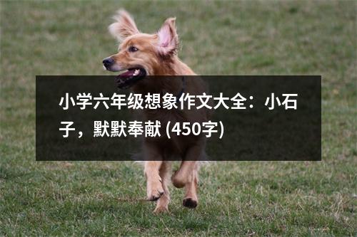 小學(xué)六年級(jí)想象作文大全：小石子，默默奉獻(xiàn) (450字)