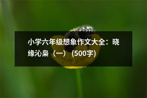 小學(xué)六年級想象作文大全：曉緣沁梟（一） (500字)