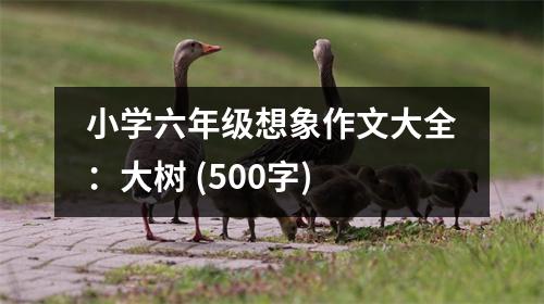 小學(xué)六年級想象作文大全：大樹 (500字)