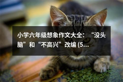 小學六年級想象作文大全：“沒頭腦”和“不高興”改編 (500字)