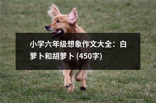 小學(xué)六年級(jí)想象作文大全：白蘿卜和胡蘿卜 (450字)