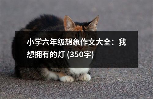 小學(xué)六年級(jí)想象作文大全：我想擁有的燈 (350字)