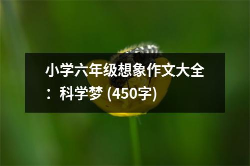 小學(xué)六年級(jí)想象作文大全：科學(xué)夢(mèng) (450字)