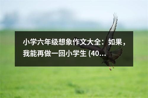 小學(xué)六年級(jí)想象作文大全：如果，我能再做一回小學(xué)生 (400字)