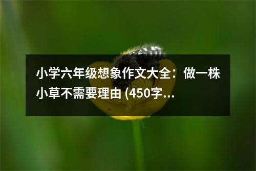 小學六年級想象作文大全：做一株小草不需要理由 (450字)