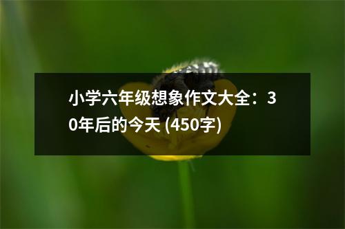 小學(xué)六年級(jí)想象作文大全：30年后的今天 (450字)
