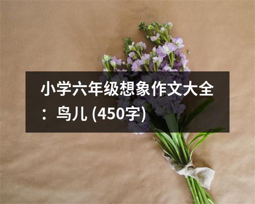 小學(xué)六年級(jí)想象作文大全：鳥(niǎo)兒 (450字)