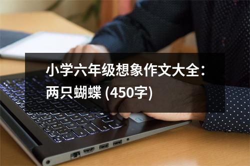小學六年級想象作文大全：兩只蝴蝶 (450字)