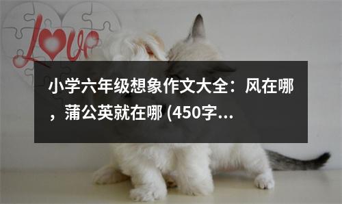 小學(xué)六年級(jí)想象作文大全：風(fēng)在哪，蒲公英就在哪 (450字)