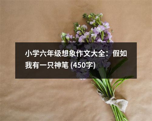 小學六年級想象作文大全：假如我有一只神筆 (450字)