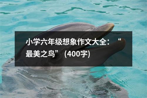 小學(xué)六年級想象作文大全：“最美之鳥” (400字)