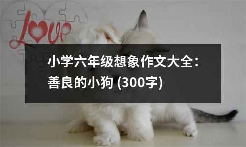 小學(xué)六年級(jí)想象作文大全：善良的小狗 (300字)