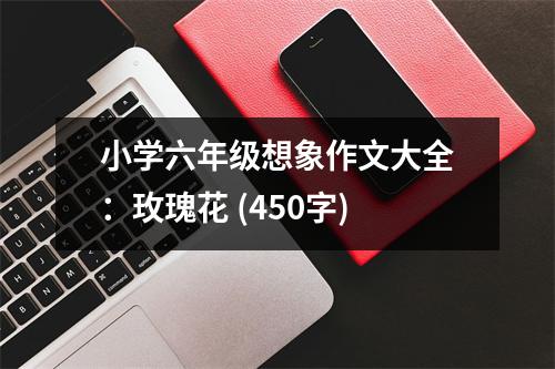 小學(xué)六年級(jí)想象作文大全：玫瑰花 (450字)