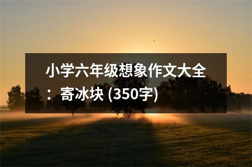 小學(xué)六年級(jí)想象作文大全：寄冰塊 (350字)