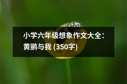 小學(xué)六年級想象作文大全：黃鸝與我 (350字)