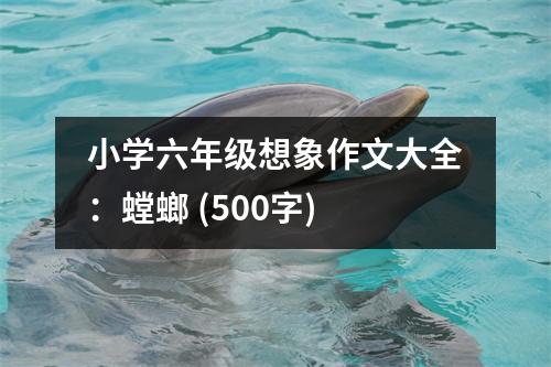 小學(xué)六年級(jí)想象作文大全：螳螂 (500字)