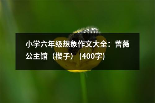 小學(xué)六年級(jí)想象作文大全：薔薇公主館（楔子） (400字)