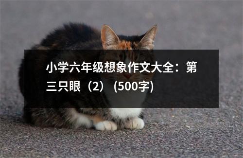 小學(xué)六年級(jí)想象作文大全：第三只眼（2） (500字)