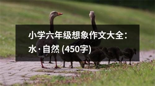 小學(xué)六年級(jí)想象作文大全：水·自然 (450字)