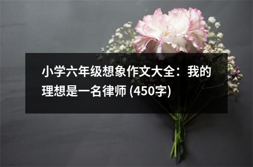 小學(xué)六年級(jí)想象作文大全：我的理想是一名律師 (450字)