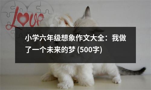 小學(xué)六年級想象作文大全：我做了一個未來的夢 (500字)