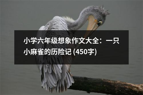 小學(xué)六年級(jí)想象作文大全：一只小麻雀的歷險(xiǎn)記 (450字)