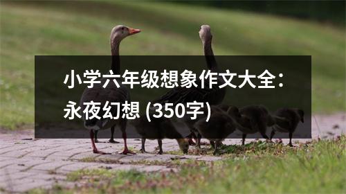小學(xué)六年級(jí)想象作文大全：永夜幻想 (350字)