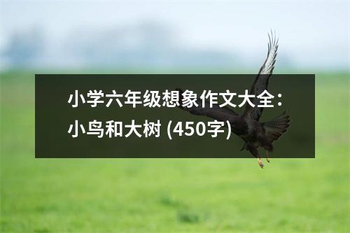 小學六年級想象作文大全：小鳥和大樹 (450字)