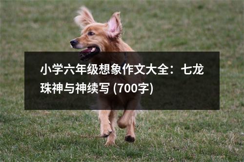 小學六年級想象作文大全：七龍珠神與神續(xù)寫 (700字)
