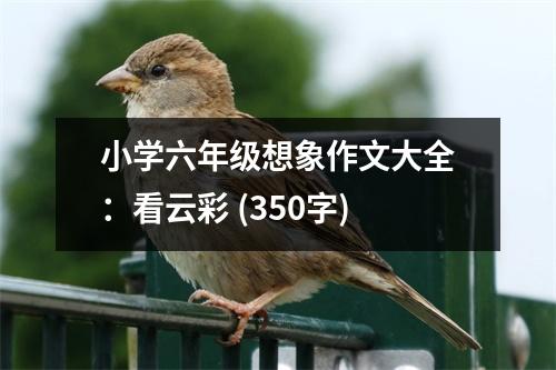 小學(xué)六年級(jí)想象作文大全：看云彩 (350字)