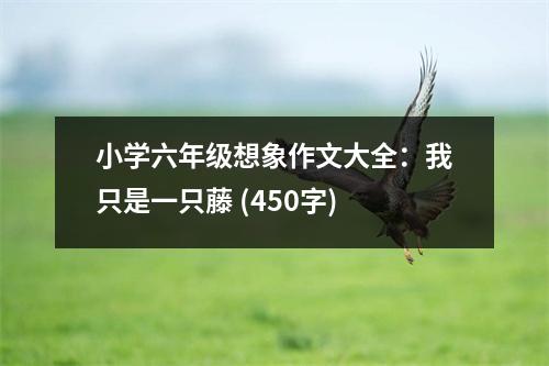 小學(xué)六年級(jí)想象作文大全：我只是一只藤 (450字)