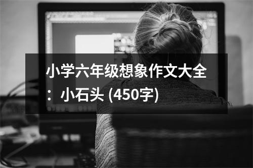 小學(xué)六年級想象作文大全：小石頭 (450字)