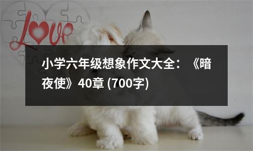 小學六年級想象作文大全：《暗夜使》40章 (700字)