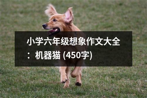 小學(xué)六年級(jí)想象作文大全：機(jī)器貓 (450字)
