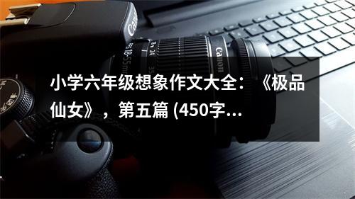 小學(xué)六年級(jí)想象作文大全：《極品仙女》，第五篇 (450字)