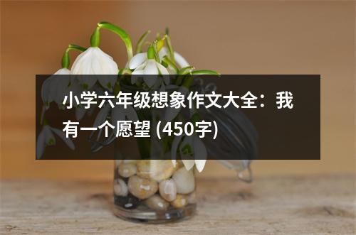 小學六年級想象作文大全：我有一個愿望 (450字)
