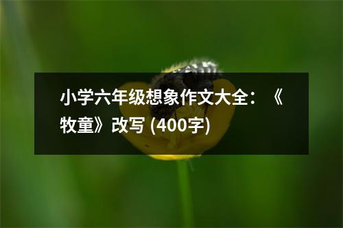 小學(xué)六年級想象作文大全：《牧童》改寫 (400字)