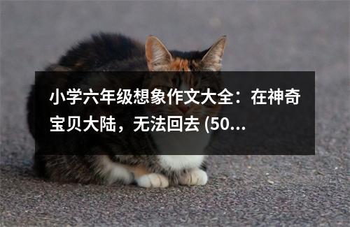 小學(xué)六年級(jí)想象作文大全：在神奇寶貝大陸，無(wú)法回去 (500字)
