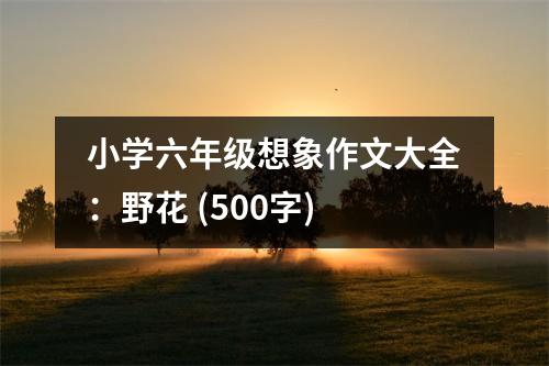 小學(xué)六年級(jí)想象作文大全：野花 (500字)