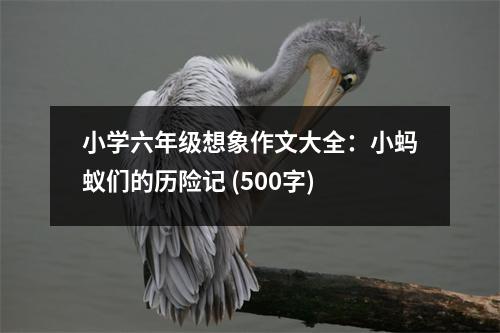 小學六年級想象作文大全：小螞蟻們的歷險記 (500字)